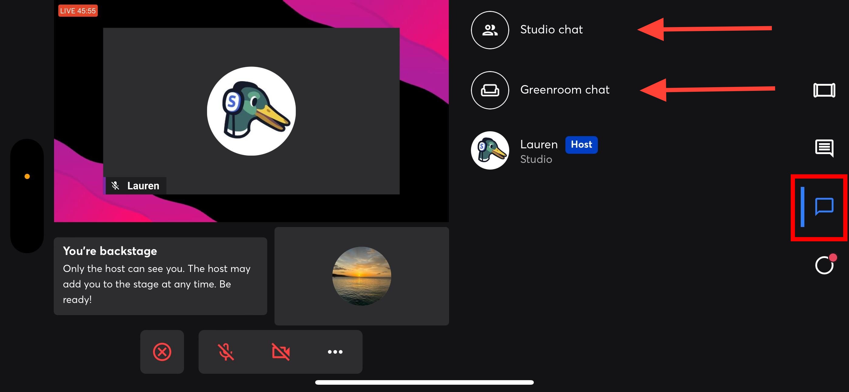 Studio Chat.jpeg
