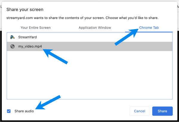 screen_share_video_with_audio__1_.png